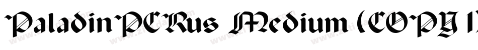 PaladinPCRus Medium (COPY 1)字体转换